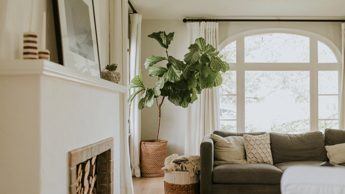 From Drab to Fab: Home Decor Ideas that Impress