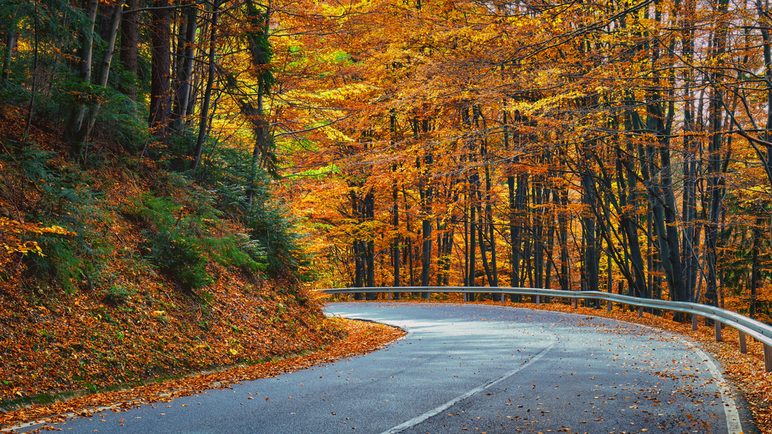 Fun Day Trips in Your Area to Take This Fall