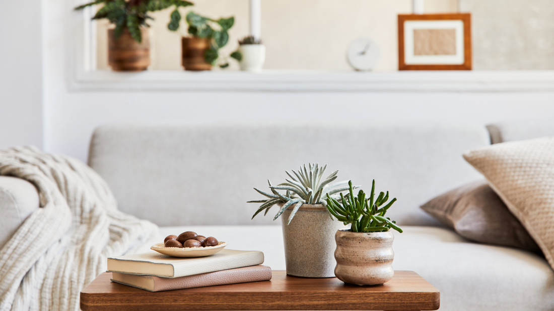 Home Décor That Reflects Your Personality: Where to Start