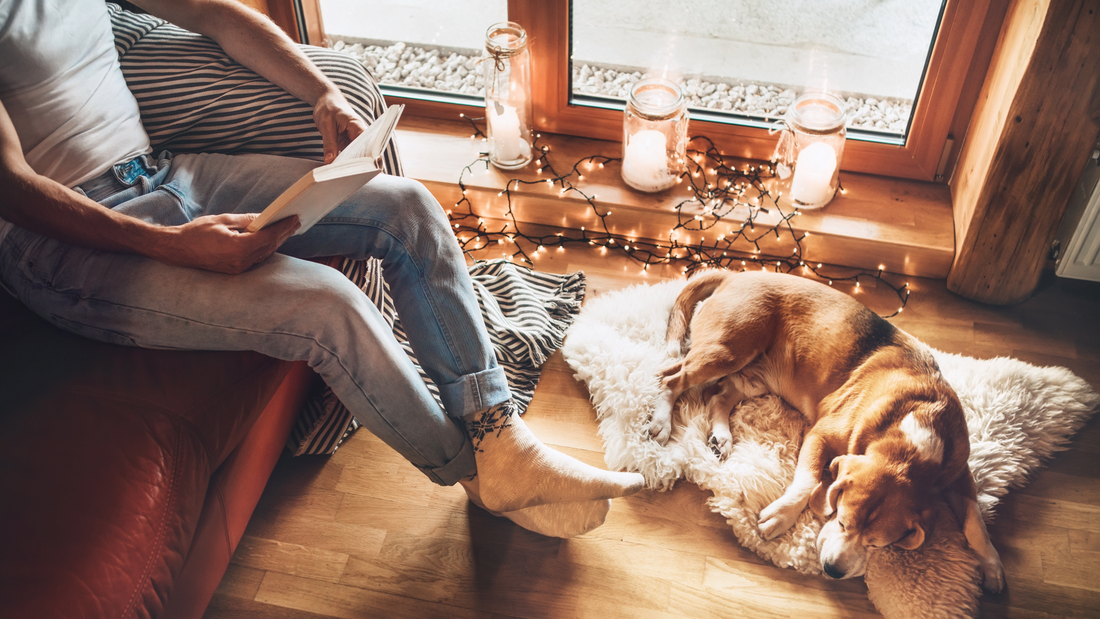 The Millennial Guide to Making Home Your Favorite Place to Be