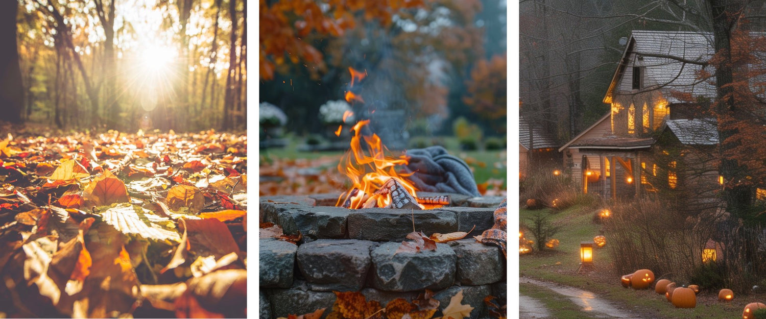 THE AUTUMN COLLECTION