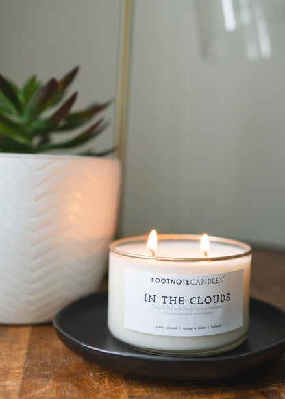 In the Clouds candle with black wood tray, sitting next to green house plant.
