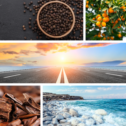 Long Weekend Scent Notes. Peppercorn, citrus, sea salt and sandalwood.