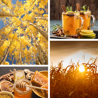 WARM AUTUMN TODDY CANDLE